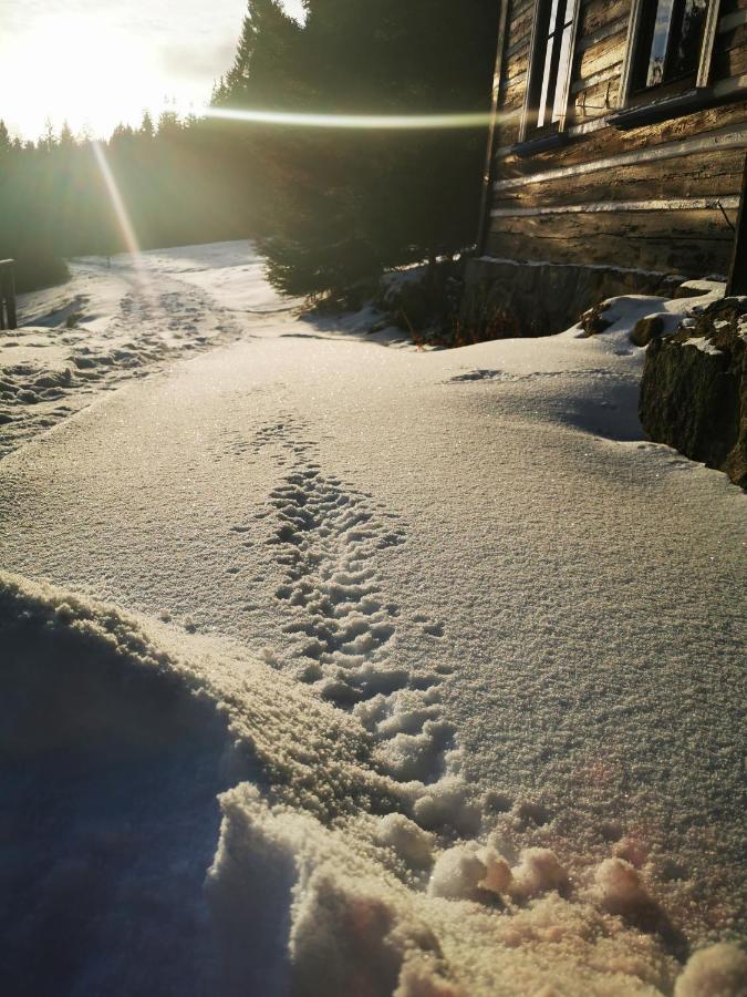 Chata Pod Studnicnou Pec pod Snezkou Exteriör bild