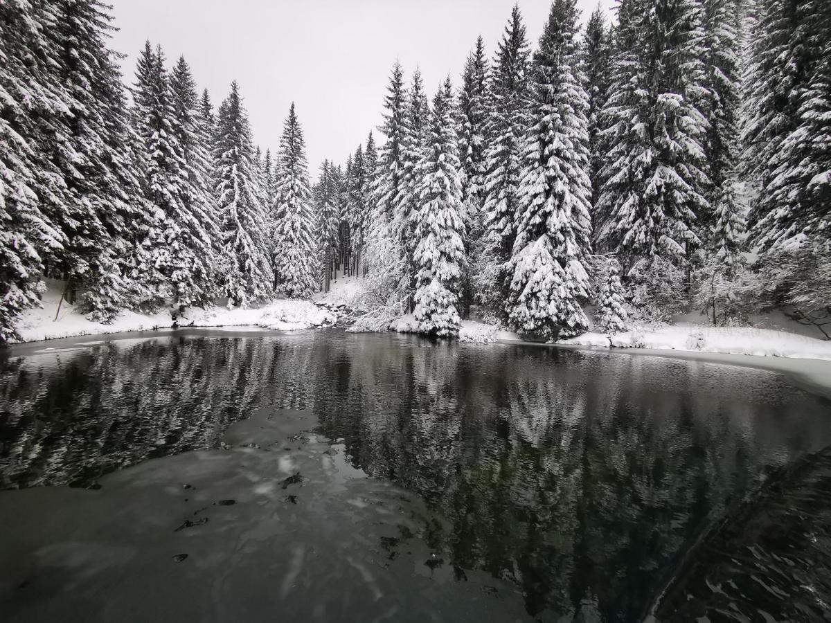 Chata Pod Studnicnou Pec pod Snezkou Exteriör bild